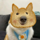 三岁搬砖