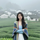 林雨的心灵小窝