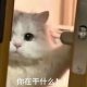 清风邀明月
