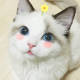 一个隐形人