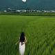 野香馥