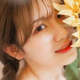 温暖小菊