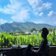 毕十三