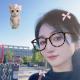 小花儿卷