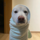 长久爱