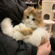 小懵不懵