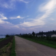 树绒