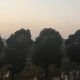 万杰滴