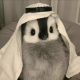 越过关山的FJL