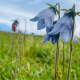 梅子语【亲子教育】