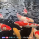 我不安分