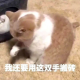做你吐槽的树洞