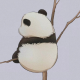 晓晓呀