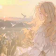 风与玫瑰共眠