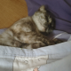 旺财♥解忧杂货店