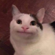 荒~诞