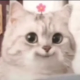成诺