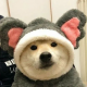 兴奋的劳模