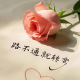 小溪姐【情绪疏导】