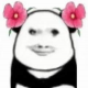 温柔的小果子
