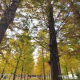细沙