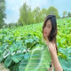茉莉小姐姐