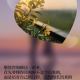 个人成长赋能