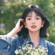 小雏菊