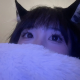 喵酱w
