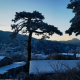 平淡如水
