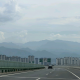 清风拂柳
