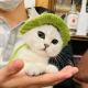 李九情感情绪