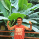 会说话的小羊