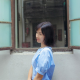 木槿拾光