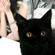 猫 猫