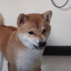 海夕