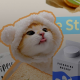 懂事的乖巧