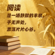 咖啡豆