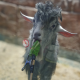 你好吗，勇敢点