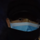 葱