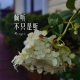 圆中