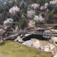 千纸鹤