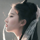 月下锦鲤～树洞倾听