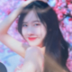 沐瑶