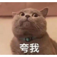 一鹿向前快乐的小鹿