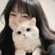 嘉嘉猫【贴心树洞】