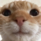 圈圈圆圆
