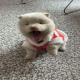 荒壄