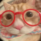 犯困蛋挞