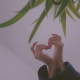 一辰倾听